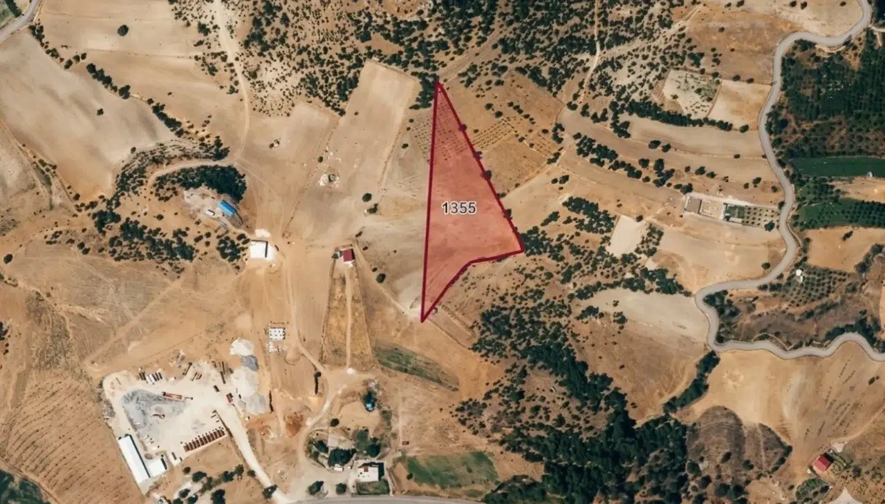 Tekir’de İcradan Satılık Dev Tarla İlanı Açıldı