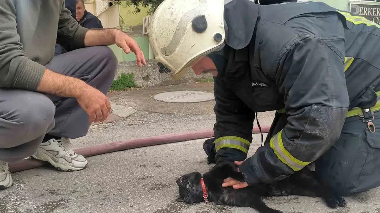 Yangında kedi kurtarıldı daire kullanılmaz hale geldi!