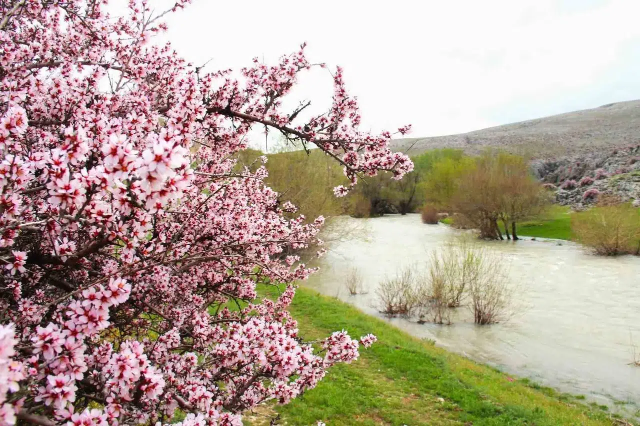Hurman Çayı’nda Bahar Manzarası Görenleri Büyülüyor