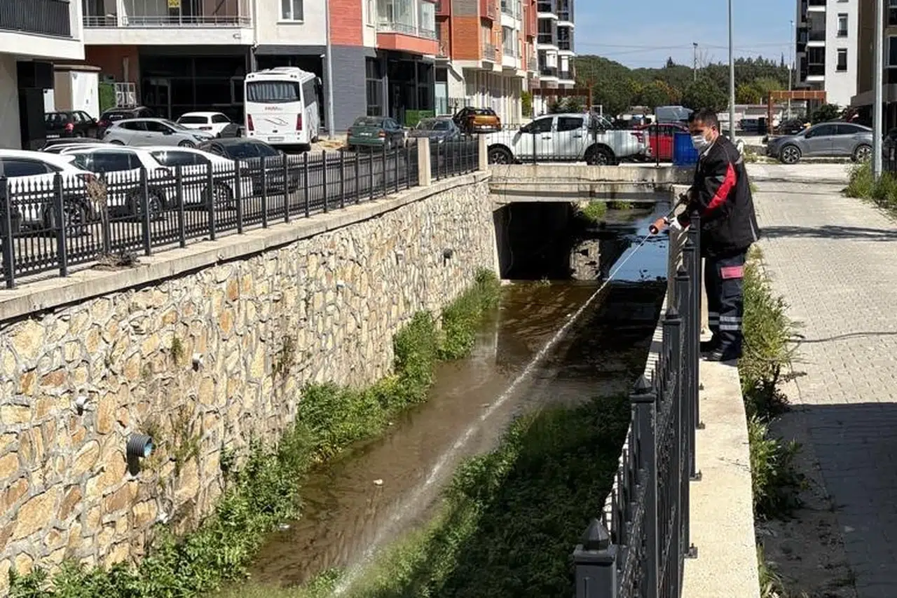 Haşere Sorununa Etkili Çözüm: Larvasit Uygulaması!