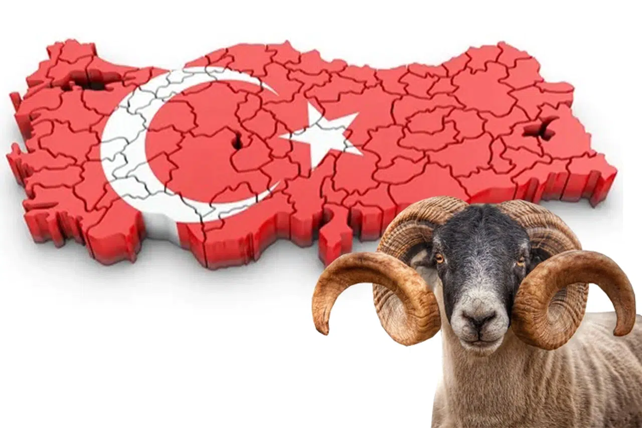 Bayramda Yoğun Güne Ara: Tatil Keyfi Başlıyor!