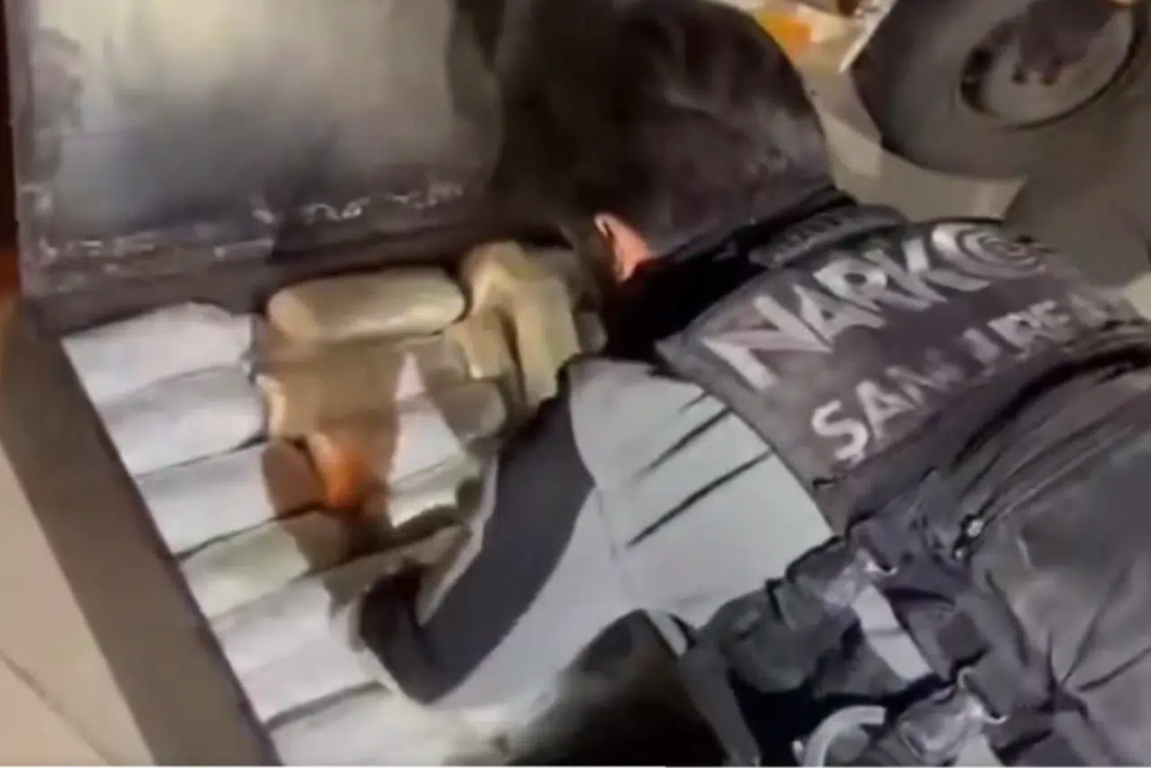 Şanlıurfa'da 20 kilogram skunk ele geçirildi