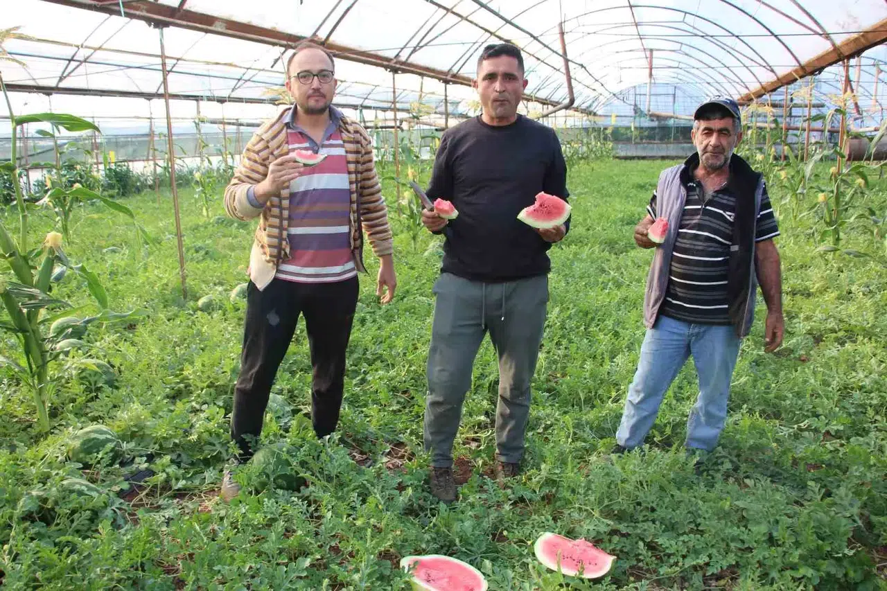 Çekirdek Karpuz Tezgahlarda Satışa Başladı