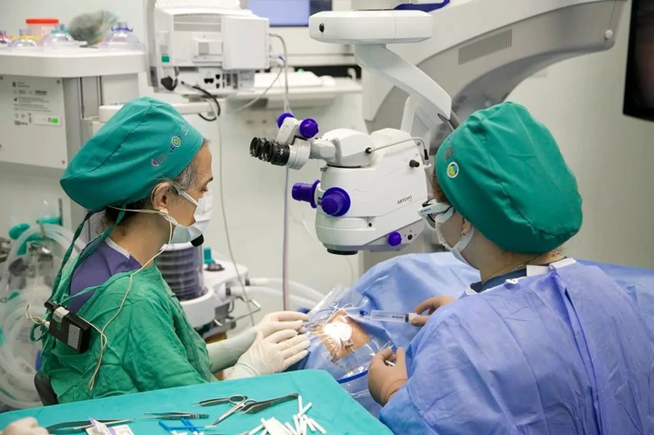 Türkiye'ye Dönük Küresel İlgi Artıyor: Dünyanın Gözleri Üzerimizde