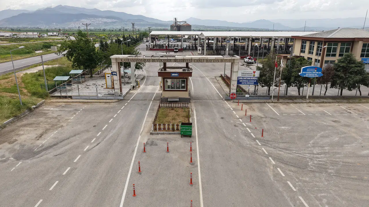 Canlı Hayvan Borsası Kurban Bayramı’na Hazır; Kurbanlık Satışları Başlıyor