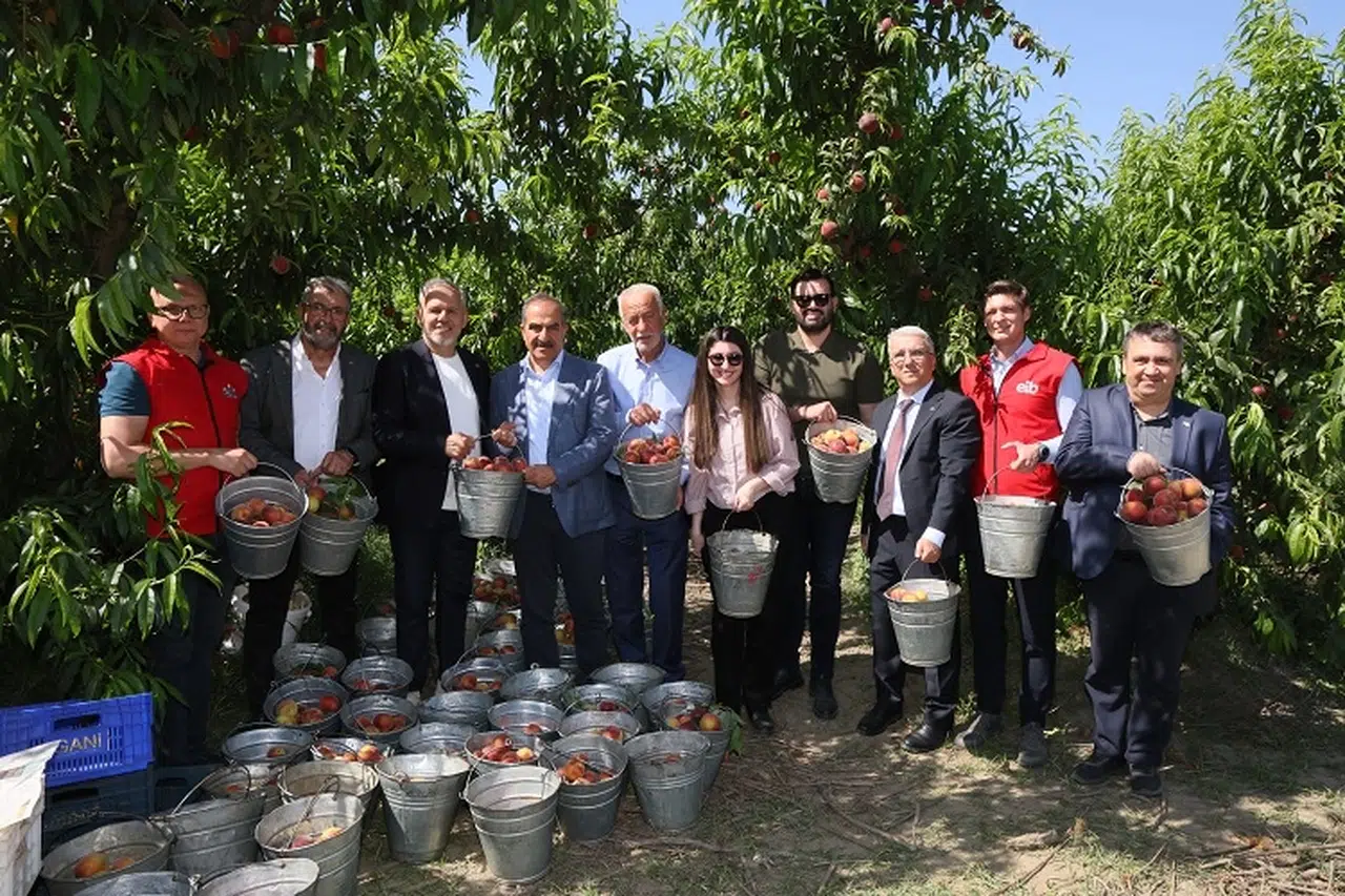 "Şeftali ve Nektarin İhracatında 250 Milyon Dolar Hedefi Belirlendi"
