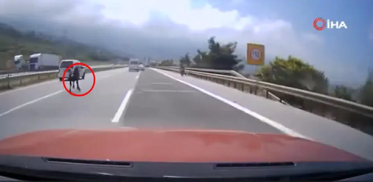 Otobanda Yola Fırlayan Angus Trafiği Felç Etti