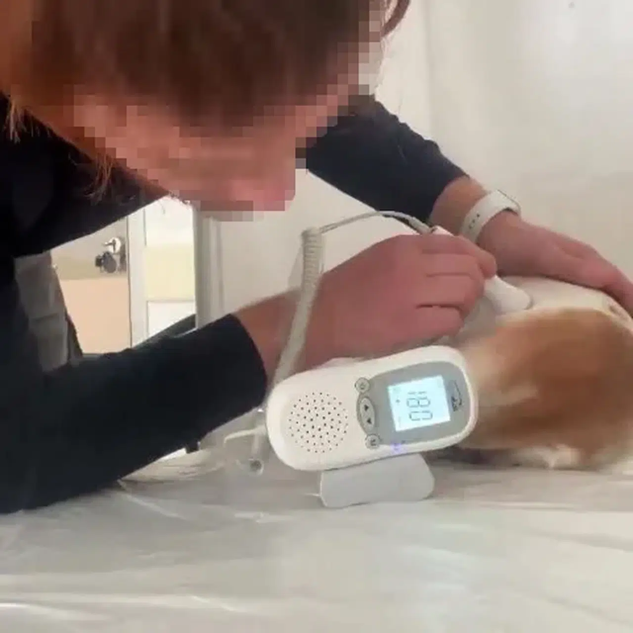 Kahramanmaraş'ta ASM'de Köpek Tedavi Eden Doktorun Paylaşımları Tepki Çekti