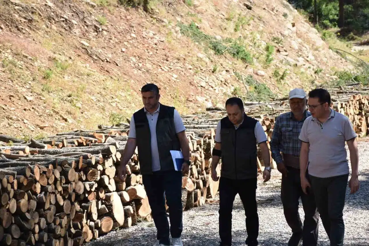 Yangın Tehlikesine Karşı Yol Temizliği Çalışmaları Başlatıldı