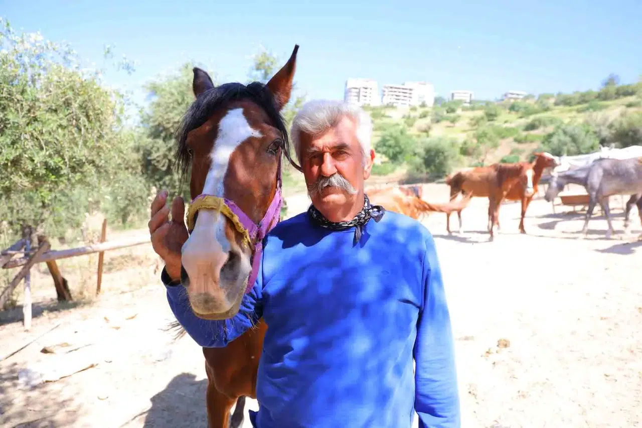 Kahramanmaraş'ta Kaçan Atlar Geceyi Birbirine Kattı!