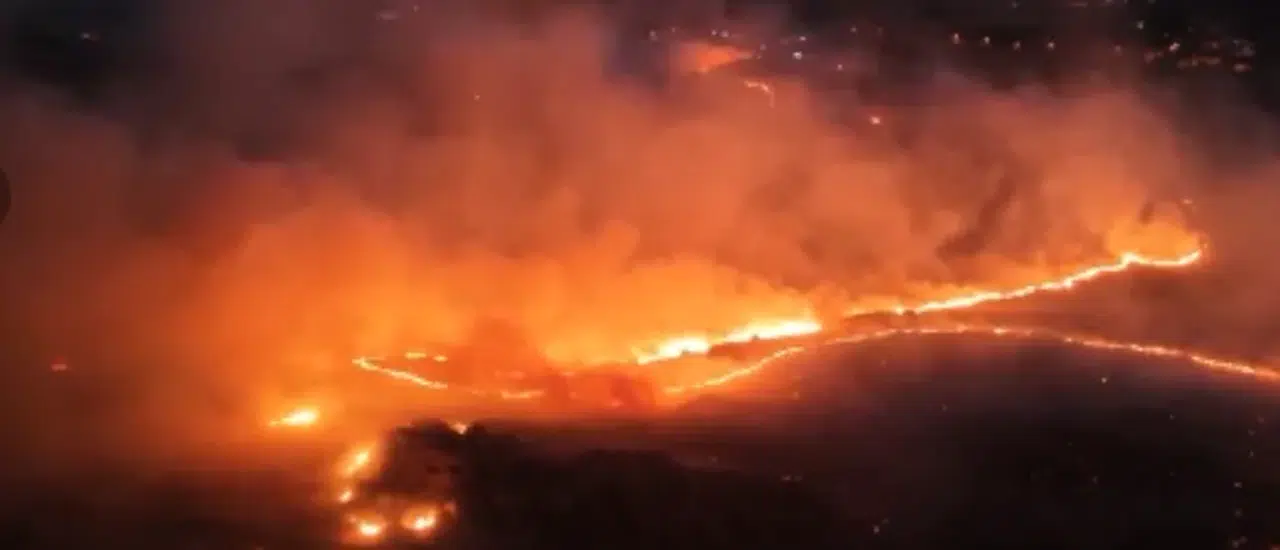 Adıyaman’daki Orman Yangını!