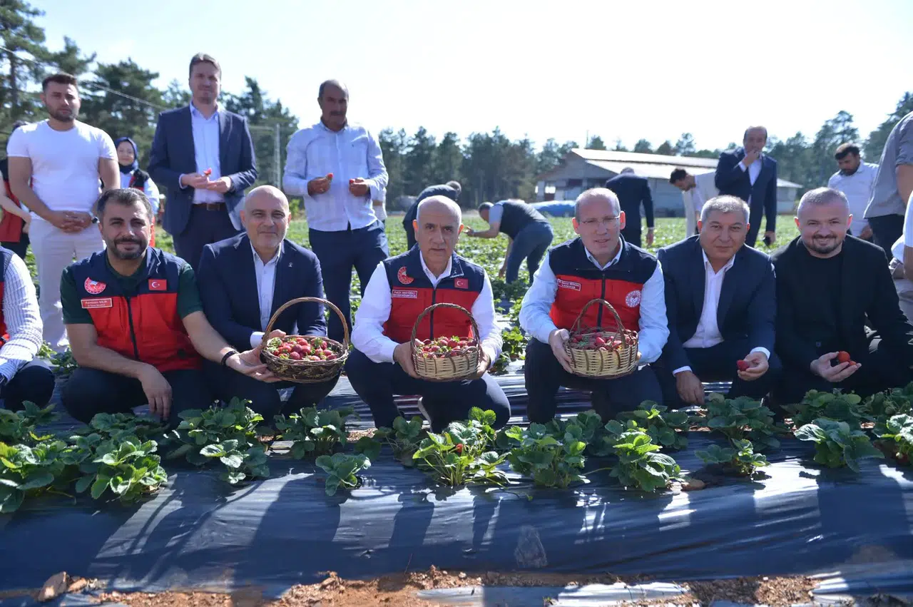 Türkoğlu'nda Çilek Üretimine Güç Veren Proje Yerinde İncelendi