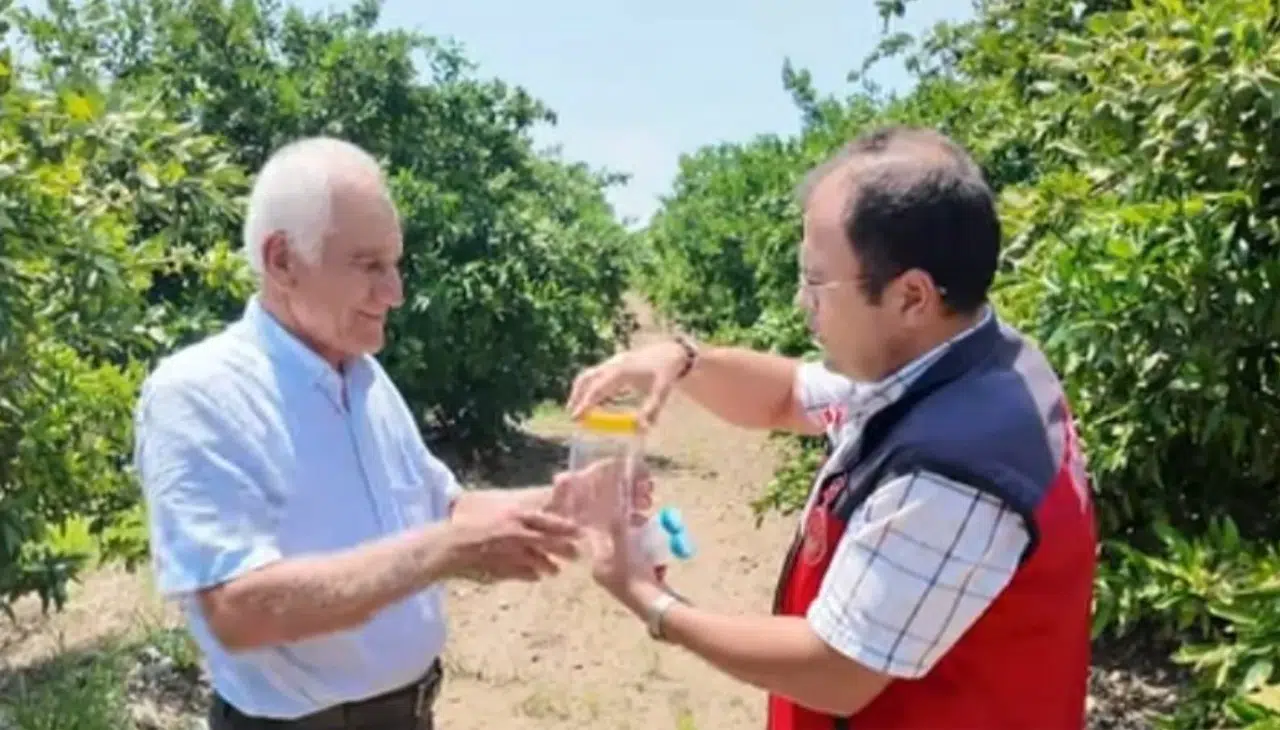 Andırın Bahçelerine Faydalı Böcek Desteği