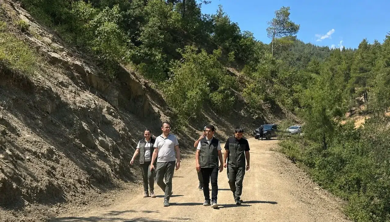 Kahramanmaraş’ta Orman Yangınlarına Karşı Önlem
