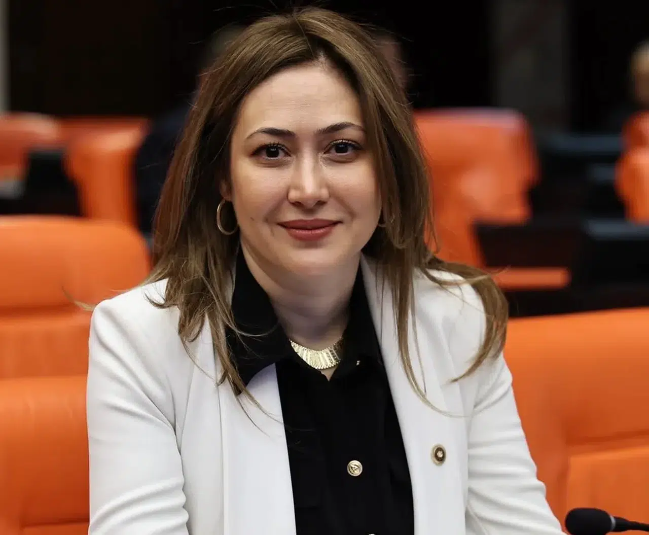 Zuhal Karakoç’tan TBMM’de Şehit Yakınları ve Gaziler Mesajı