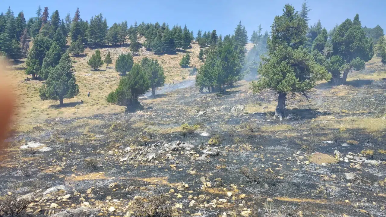 Kahramanmaraş’ta Bir Günde İki Orman Yangını