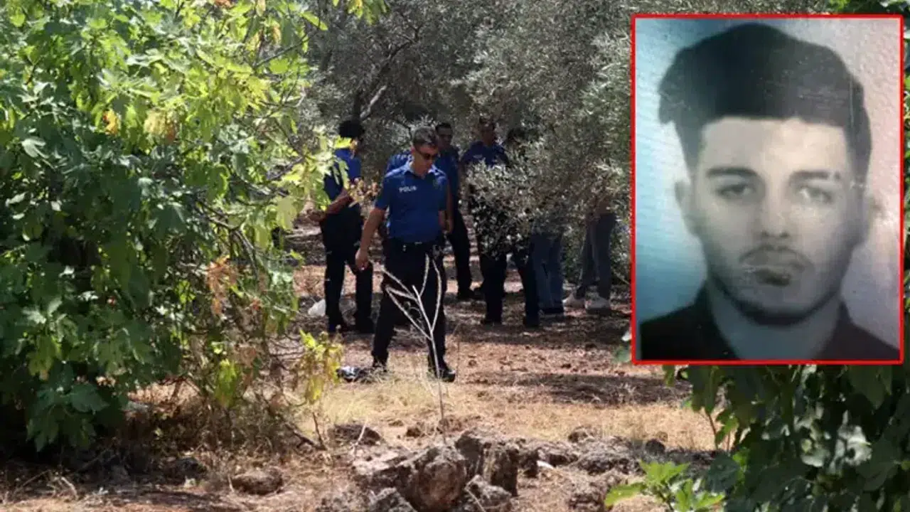 Antalya'da Zeytinlikte Elleri Bağlı Ceset Bulundu