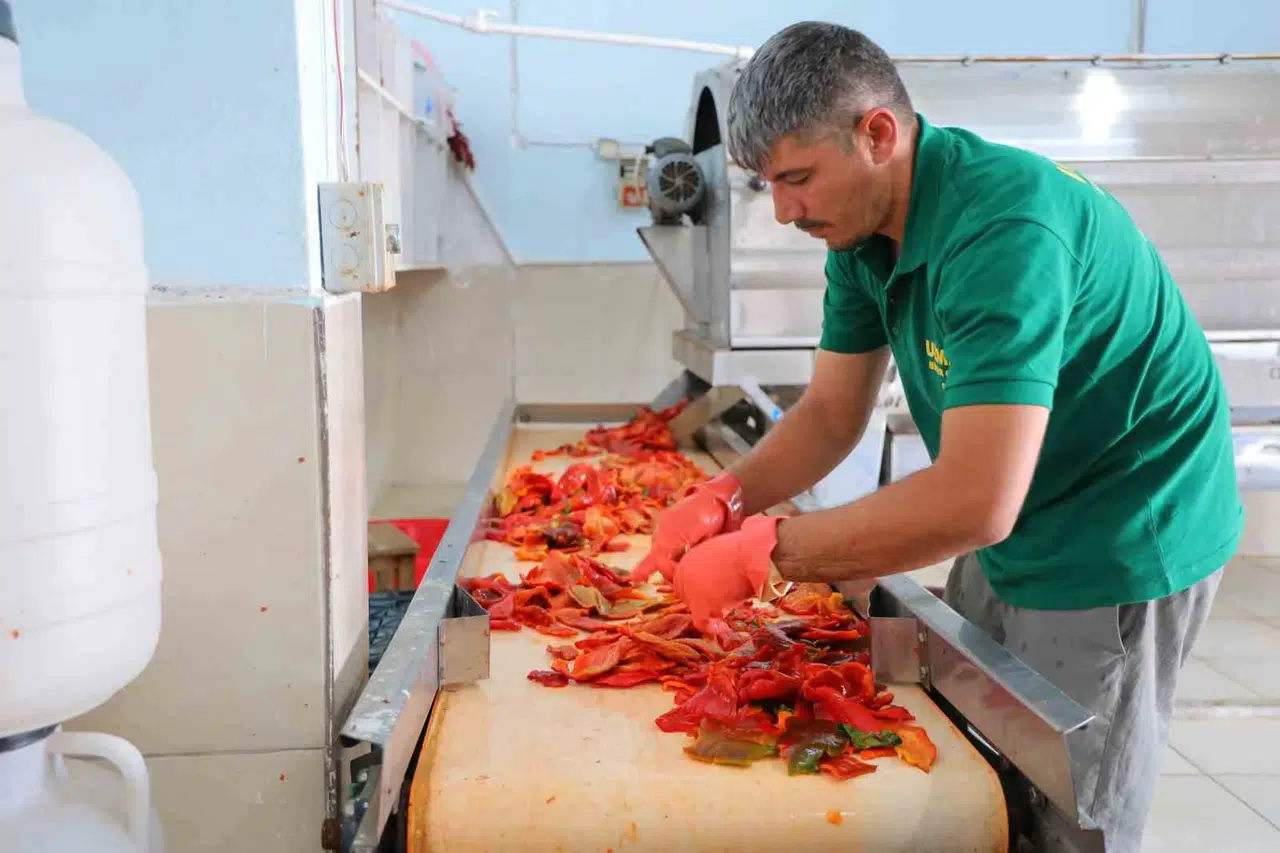 Kahramanmaraş’ta salça sezonu başladı