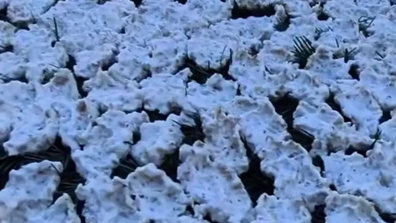 Andırın’da Kışlık Tarhana Mesaisi Başladı
