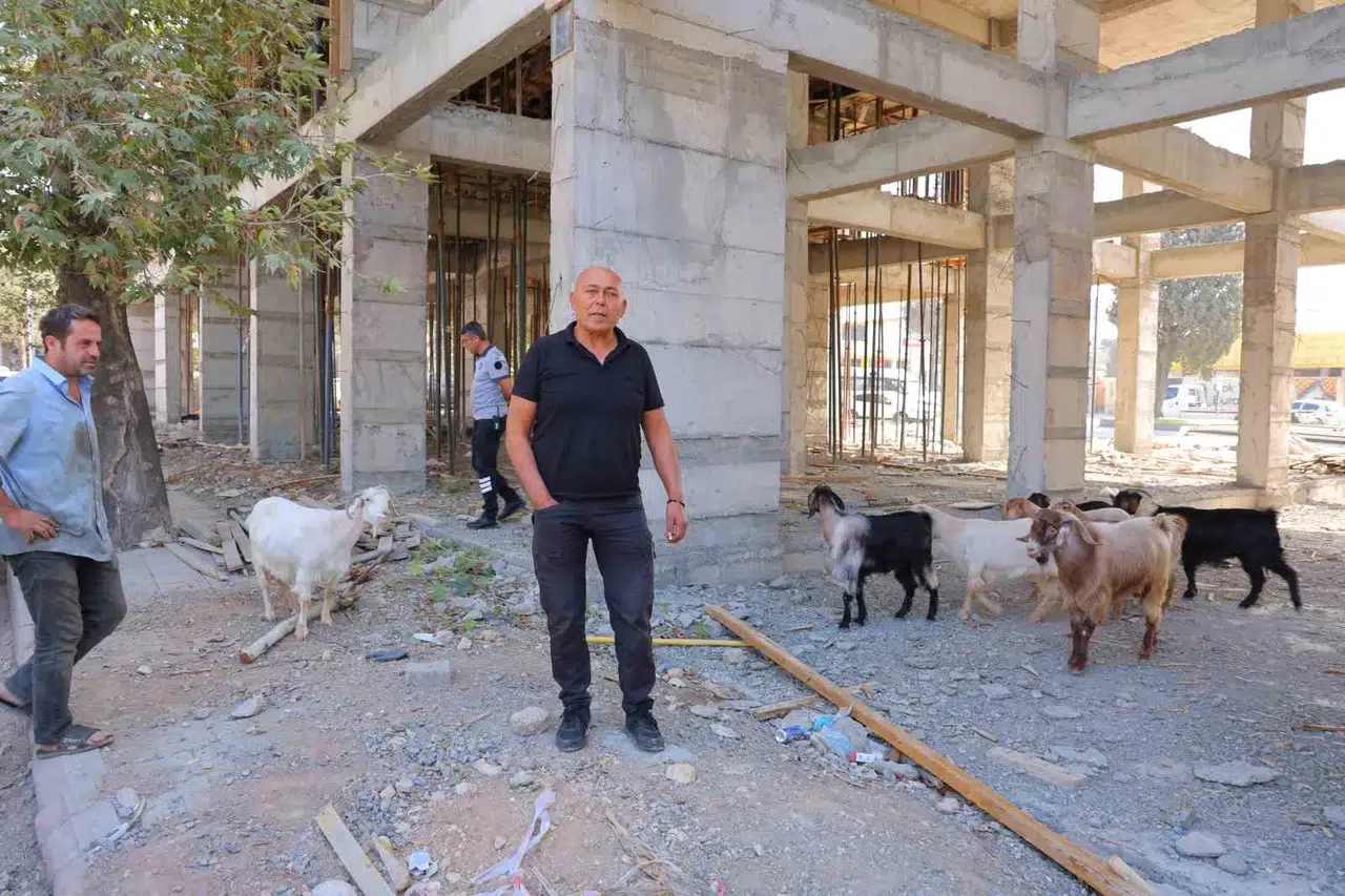 Kahramanmaraş’ta Esnafın Bulduğu 9 Keçinin Sahibi Aranıyor
