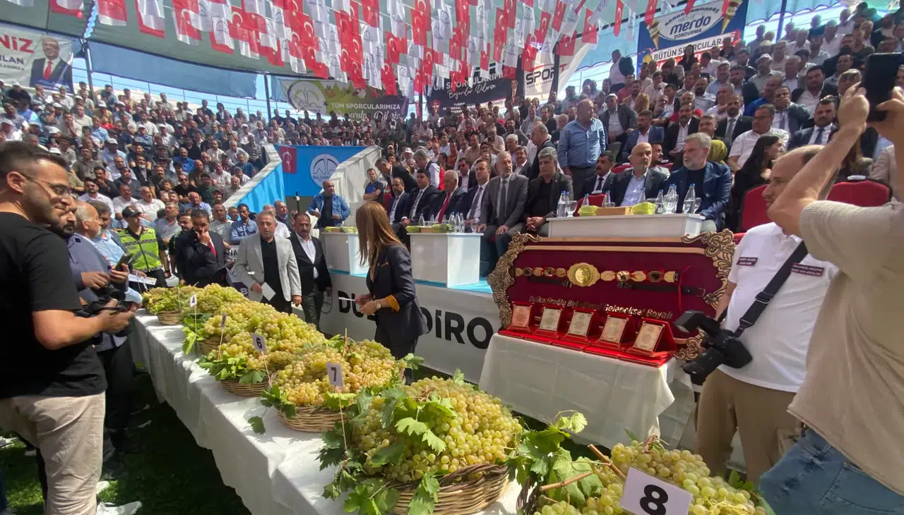 Bertiz’in En İyi Kabarcık Üzümü İçin Yarıştılar