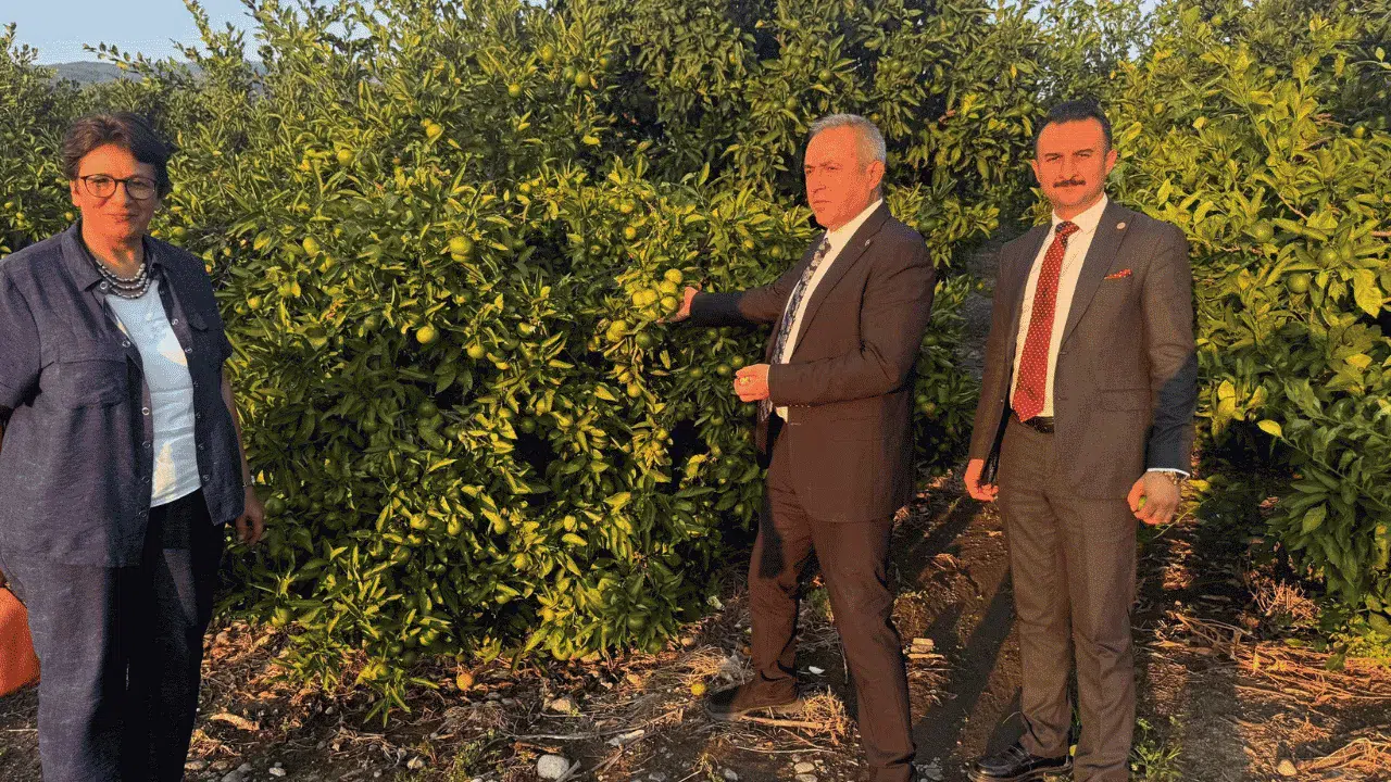 İrfan Karatutlu Narenciye Üreticileriyle Buluştu