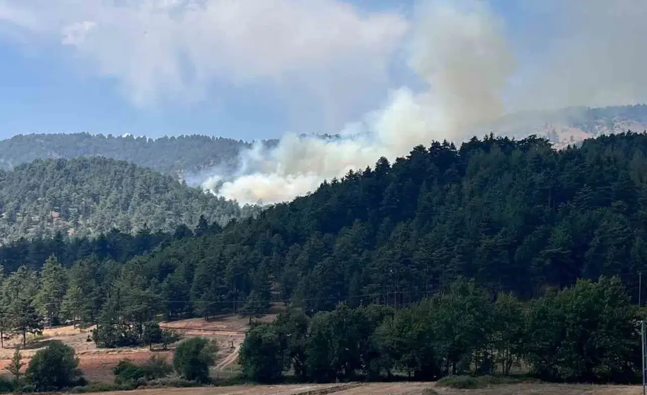 Kahramanmaraş’taki Orman Yangını Kontrol Altına Alındı