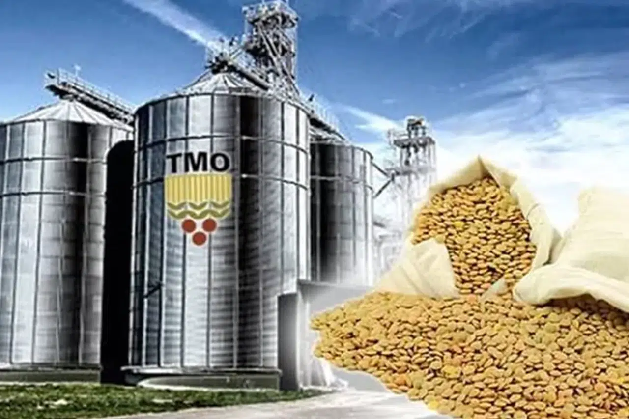 TMO'dan üreticilere 6,3 milyar liralık ödeme