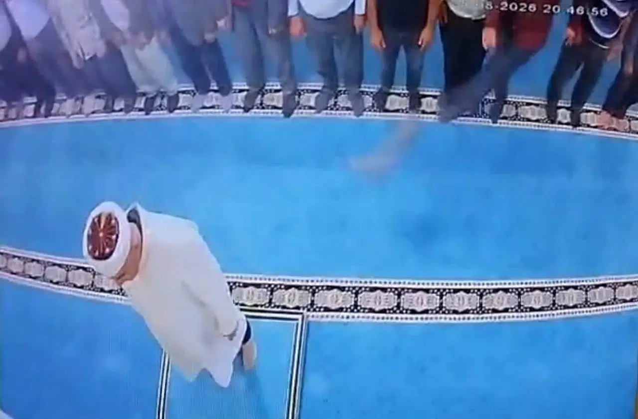 Camide Kediye Tekme Atarak Gözaltına Alınan Şahıs Serbest Bırakıldı
