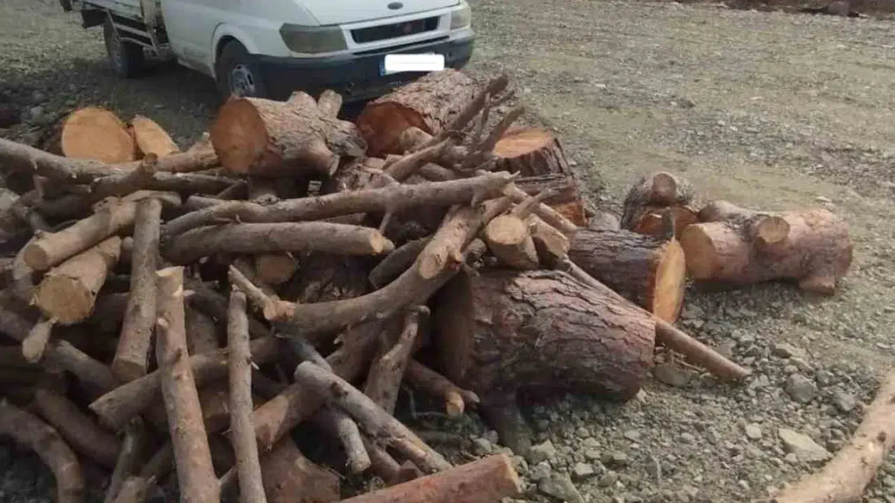 Kahramanmaraş’ta Kaçak Orman Emvali ve Nakil Aracına El Konuldu