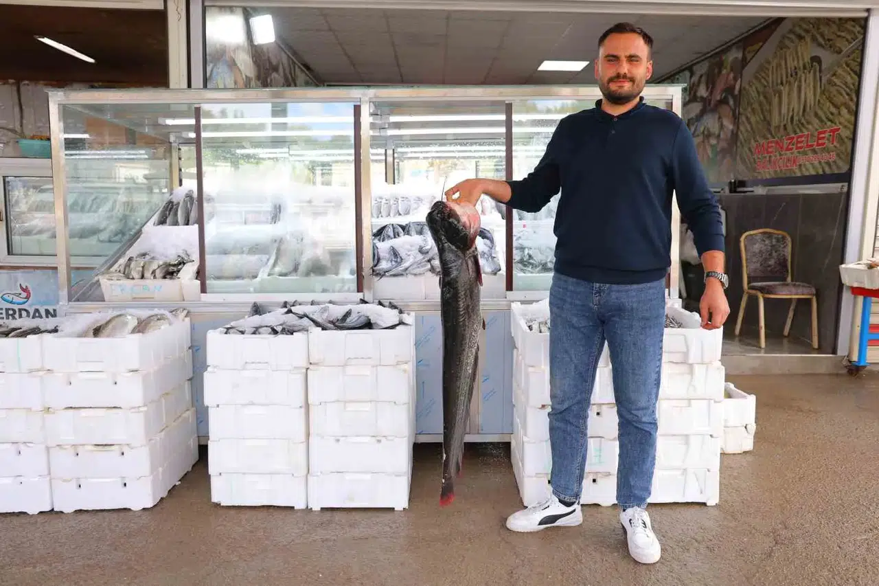 Kahramanmaraş’ta balık pazarına sonbahar canlılığı