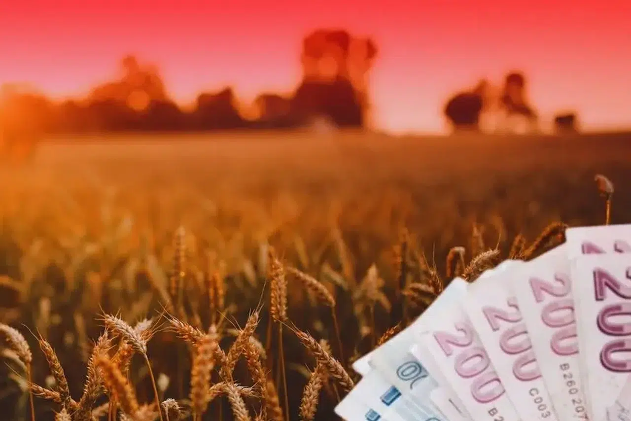 TMO 2026'da üreticilere 4.2 milyar lira ürün bedeli ödemesi yaptı!