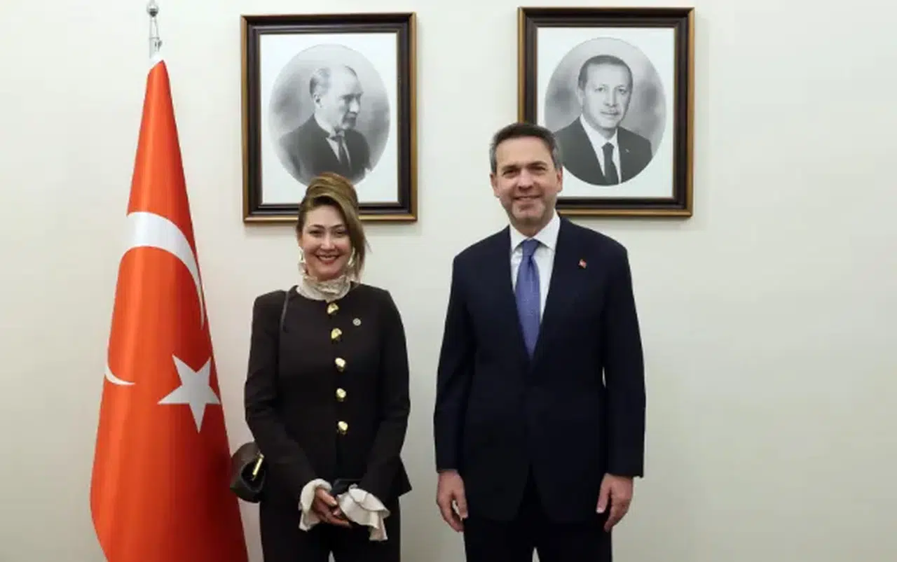 Kahramanmaraş’ın enerji projeleri Meclis’te görüşüldü