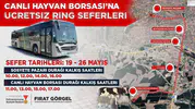 Canlı Hayvan Borsası’na Ücretsiz Taşıma Dönemi Başlatıldı!
