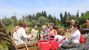 Organik atıklar komposta dönüşüyor