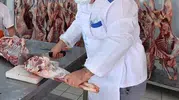 Kurban Kesimi Uzman Kasaplardan Talep Edilmeli!