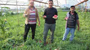Çekirdek Karpuz Tezgahlarda Satışa Başladı