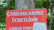 Kahramanmaraş Fırnız'da Bayramda Çardak Fiyatı Tartışması