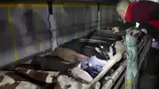 Kurban Bayramı öncesi canlı hayvan denetimleri hız kazandı