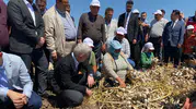 Pazarcık Sarımsağına Tescil İçin İlk Adım Atıldı