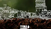 TEMA Vakfı'ndan gözaltı açıklaması: Gönüllülerimizin eylemle ilgisi bulunmamaktadır
