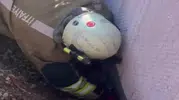 Moloz Altında Kalan Yavru Kedi Ekiplerce Kurtarıldı