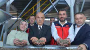 Kirişci, Afşin'de Nohut İşleme Tesisini İnceledi