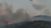 Kahramanmaraş'ın Komşusunun Ciğeri Yanıyor: Yangın Saatlerdir Sürüyor!