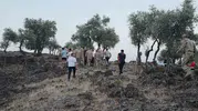 Oğlak Otlatırken Kayboldu! Volkanik Arazide Bulundu