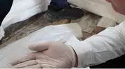 Fırında Fare Dışkısı ve Paslı Keser
