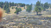 Kahramanmaraş’ta Bir Günde İki Orman Yangını