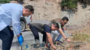 Kahramanmaraş’ta 175 Saka Kuşu Kurtarıldı