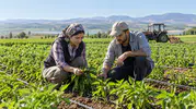 Kırsal Yatırımlar İçin Hibe Sonuçları Açıklandı