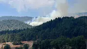 Kahramanmaraş’taki Orman Yangını Kontrol Altına Alındı